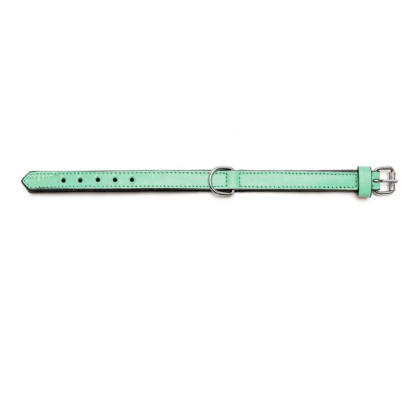 Dog collar Gloria Padded Green (45 x 2 cm)