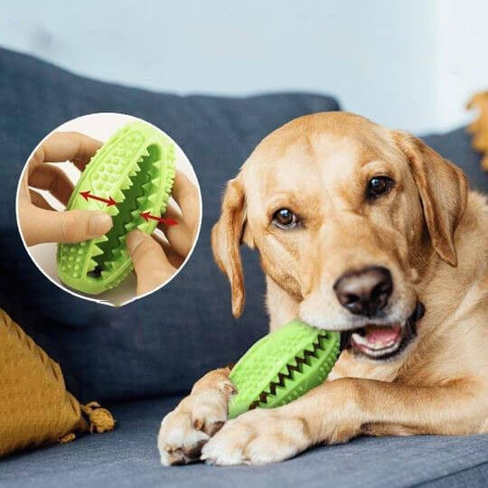 KBL-595-04_altpic_3.jpg Fogtisztító kutyajáték