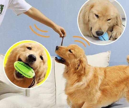 KBL-595-04_altpic_4.jpg Fogtisztító kutyajáték